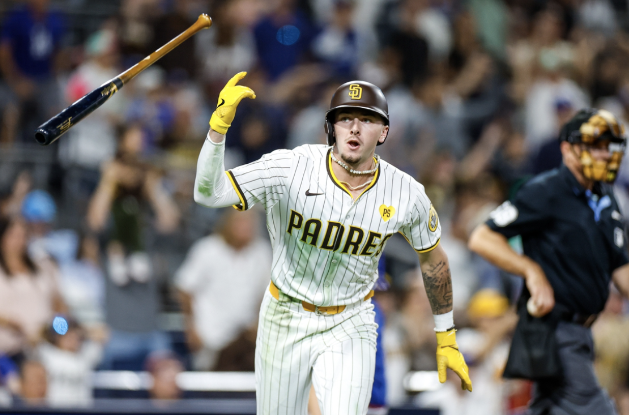 san-diego-padres-and-tampa-bay-rays-took-divergent-mlb-trade-deadline-paths