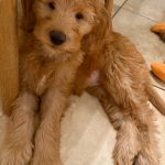 1.9 Friday Faves 1.9-friday-faves